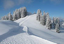 Nowości w Ski Lubomierz