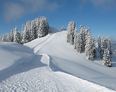 Nowości w Ski Lubomierz