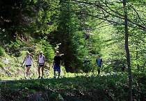 Poznajemy przyrodę Gorczańskiego Parku Narodowego – zainteresowanie turystów duże,  akcja przedłużona!