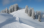 Nowości w Ski Lubomierz